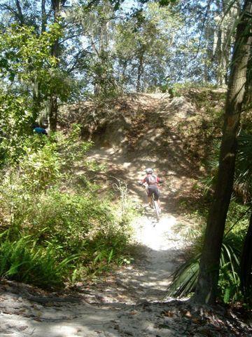 A cyclist riding up a sandy trail through a forested area, surrounded by greenery and trees. Alafia River State Park mountain bike trail.
