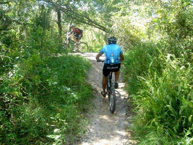 Two mountain bikers ride along a narrow dirt trail surrounded by lush green foliage. One cyclist is moving downhill in the foreground, wearing a blue jersey and black shorts, while another cyclist is seen in the background, navigating an uphill path. Sunlight filters through the trees, creating a dappled effect on the trail. Alafia River State Park mountain bike trail.
