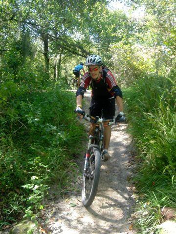A mountain biker wearing a helmet and colorful cycling gear is riding along a narrow, winding dirt trail surrounded by lush green vegetation and trees. The biker appears focused and is navigating through a natural outdoor setting. Alafia River State Park mountain bike trail.