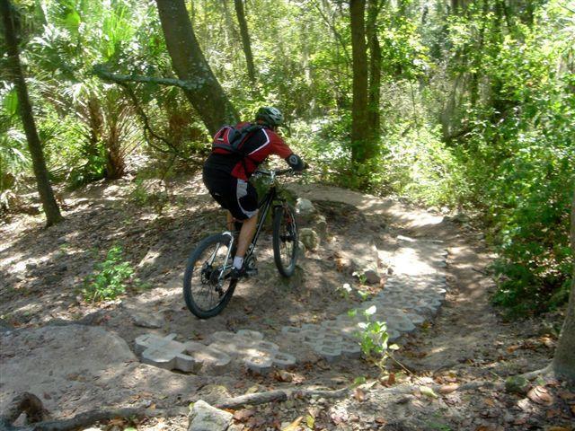 A mountain biker navigating a winding trail in a wooded area, surrounded by greenery and trees. The path features a rocky section and marked trail elements, suggesting an outdoor adventure in nature. Alafia River State Park mountain bike trail.