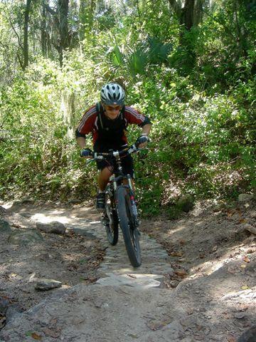A mountain biker navigating a rocky trail in a lush, green forest. The rider is wearing a helmet and cycling gear, focused on maneuvering the uneven terrain as sunlight filters through the trees. Alafia River State Park mountain bike trail.
