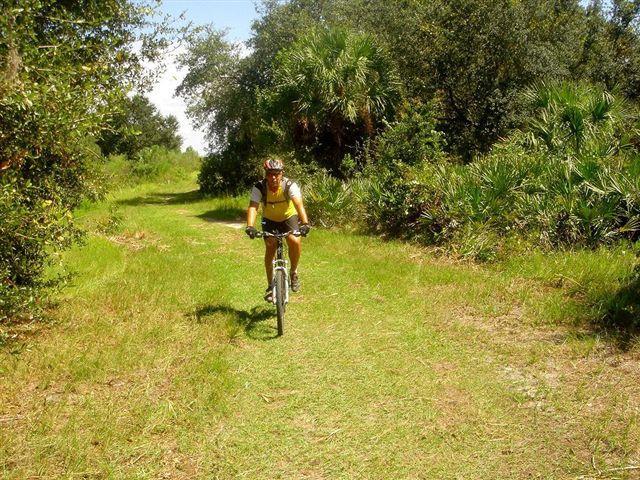 A cyclist rides along a grassy trail surrounded by lush greenery and trees on a sunny day. The path is flanked by palm trees and other vegetation, creating a serene outdoor setting. The cyclist is wearing a yellow shirt and a helmet. Alafia River State Park mountain bike trail.