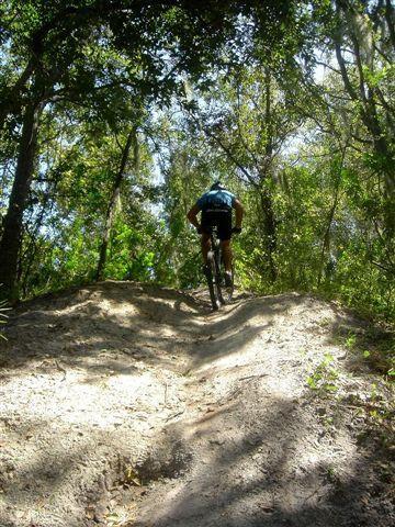 A person riding a mountain bike up a dirt trail in a wooded area, surrounded by lush greenery and trees. The image captures the rider from behind as they ascend a small hill. Alafia River State Park mountain bike trail.