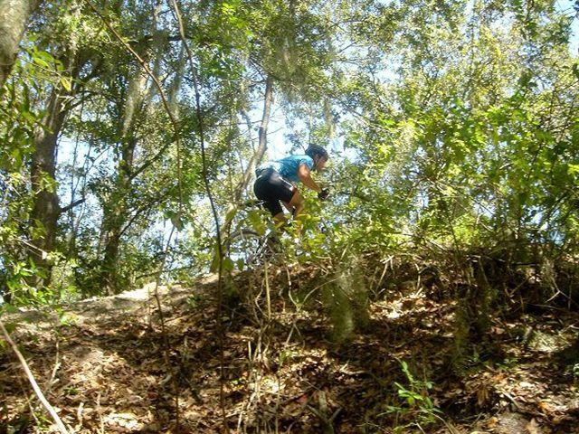 A person biking on a dirt trail surrounded by dense foliage and trees, navigating an elevated section of the path. Sunlight filters through the leaves, creating dappled shadows on the ground. Alafia River State Park mountain bike trail.