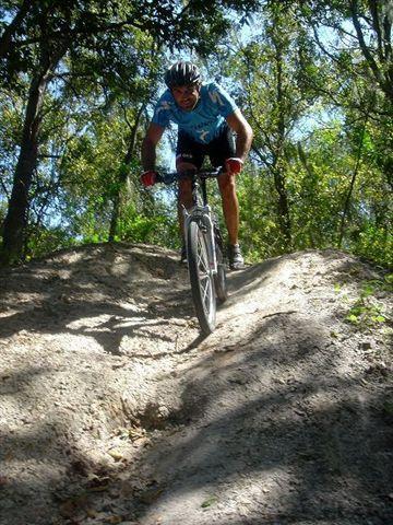 A cyclist in a blue jersey and helmet is descending a rocky trail in a wooded area, surrounded by green trees and dappled sunlight. The cyclist is focused, leaning forward on their mountain bike as they navigate the uneven terrain. Alafia River State Park mountain bike trail.