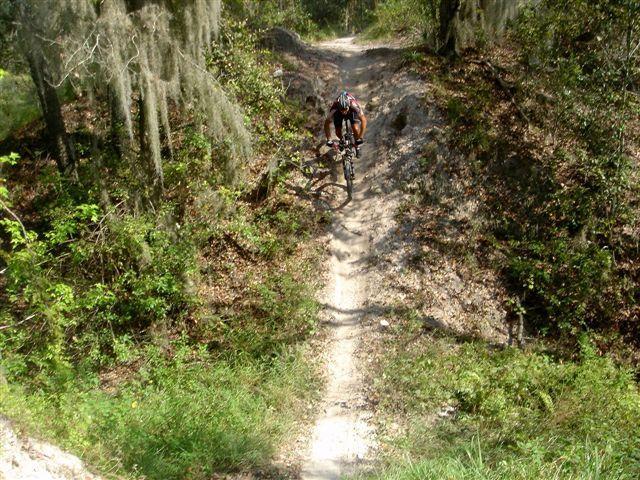 A mountain biker descending a narrow dirt trail surrounded by greenery, with trees and Spanish moss in the background. The path is slightly steep, indicating a rugged terrain suitable for off-road biking. Alafia River State Park mountain bike trail.