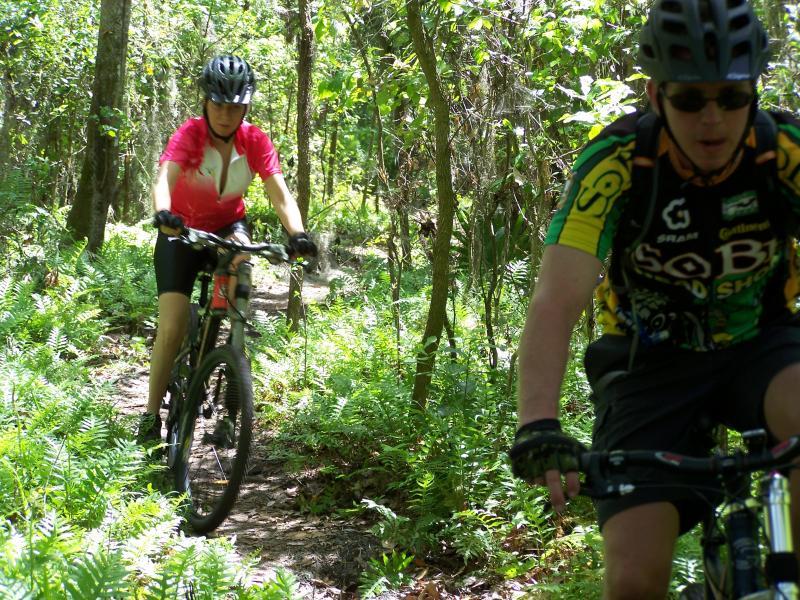 Two mountain bikers navigating a narrow, lush green trail through a forest. One rider, dressed in a pink and white jersey, is in the foreground, while the second rider, wearing a colorful jersey, follows closely behind. Ferns and trees surround the trail, indicating a vibrant natural setting. Alafia River State Park mountain bike trail.