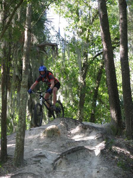 A cyclist in a blue helmet and athletic gear navigating a rocky forest trail on a mountain bike, surrounded by dense green foliage and tall trees. Alafia River State Park mountain bike trail.
