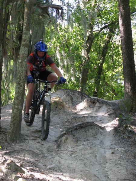 A mountain biker navigating a rugged, sandy trail in a wooded area, surrounded by trees and greenery. The cyclist is wearing a blue helmet and gloves, with a focused expression as they maneuver around a rocky obstacle on the path. Alafia River State Park mountain bike trail.