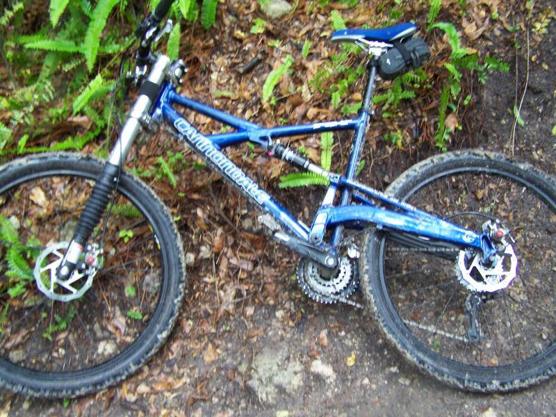 A blue mountain bike resting on a dirt trail surrounded by green ferns and fallen leaves. The bike features front suspension forks, disc brakes, and a gear system, indicating it is designed for off-road cycling. Alafia River State Park mountain bike trail.