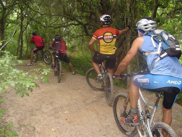 Four mountain bikers ride along a narrow dirt trail in a lush, green forest. The riders, wearing colorful cycling jerseys, are focused on their path as they navigate the terrain surrounded by trees and foliage. Alafia River State Park mountain bike trail.