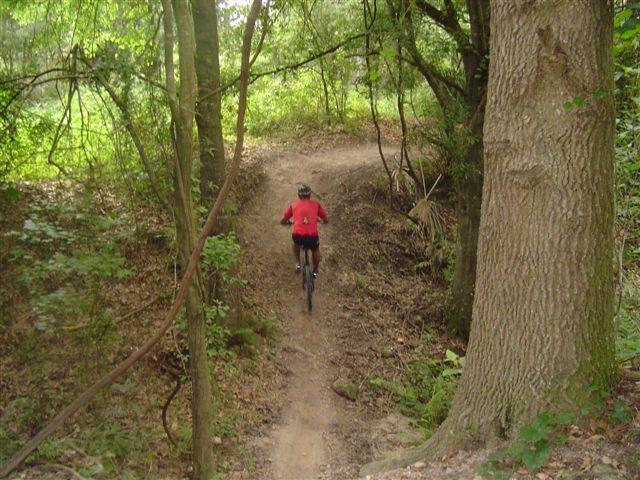 A person riding a mountain bike along a dirt trail in a lush, green forest. The cyclist is wearing a red shirt and a helmet, surrounded by tall trees and dense foliage. Alafia River State Park mountain bike trail.