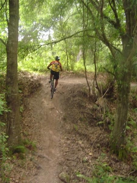 A mountain biker riding along a dirt trail surrounded by lush greenery and trees, navigating an upward path. Alafia River State Park mountain bike trail.