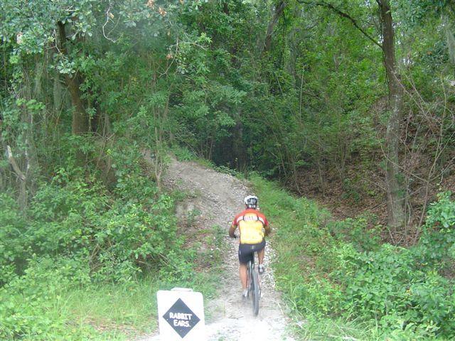 A cyclist wearing a yellow and red jersey navigates a dirt path through a dense forest. A sign labeled "RABBIT EARS" is visible in the foreground, indicating a trail. Lush greenery surrounds the path, creating a serene natural setting. Alafia River State Park mountain bike trail.