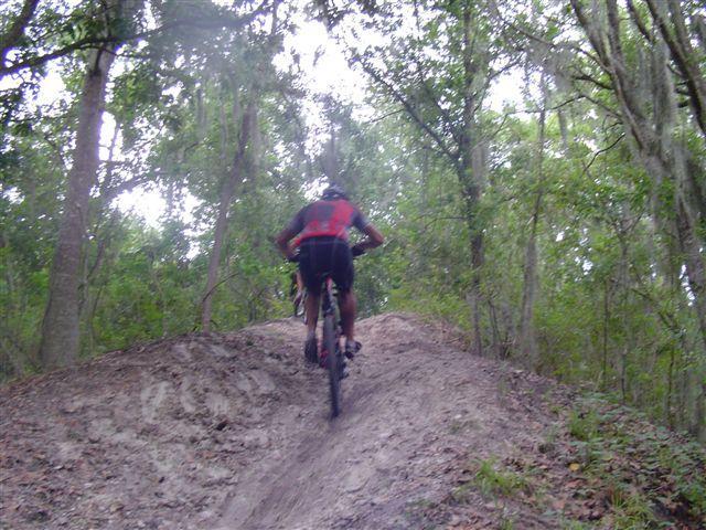A mountain biker riding up a dirt trail surrounded by dense trees in a forested area. The cyclist is seen from behind, navigating a slight incline on the path. Alafia River State Park mountain bike trail.