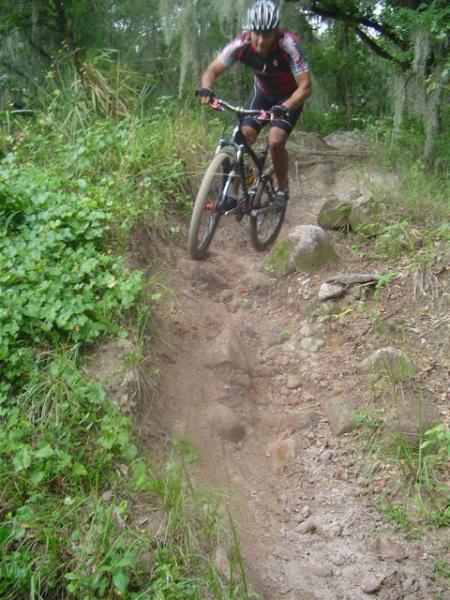A mountain biker navigating a rocky trail surrounded by greenery, leaning forward as they ride down a slope. The trail features visible rocks and dirt with patches of grass and shrubs on either side. Alafia River State Park mountain bike trail.