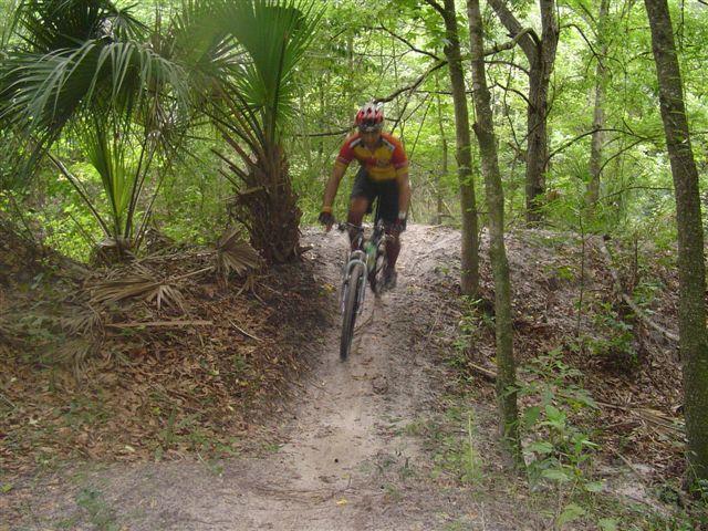 A mountain biker navigates a dirt path in a lush green forest, wearing a helmet and colorful cycling gear. Surrounding vegetation includes palm leaves and trees, creating a natural setting for outdoor cycling. Alafia River State Park mountain bike trail.