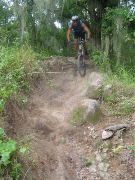 A mountain biker jumps off a rocky ledge on a dirt trail, surrounded by greenery and trees. Dust is kicked up from the trail, highlighting the action of the jump. Alafia River State Park mountain bike trail.