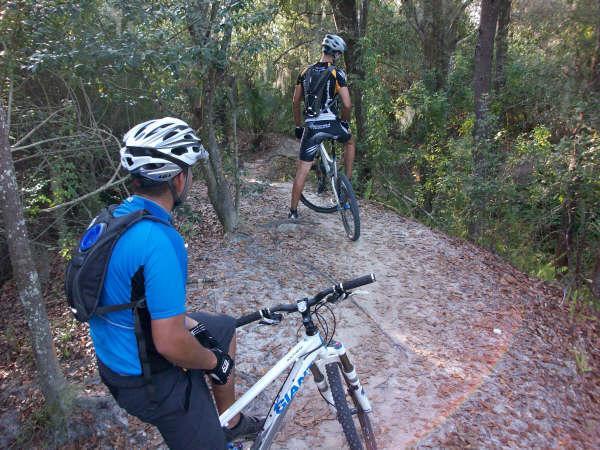 Two mountain bikers on a dirt trail surrounded by trees. One rider is visible from the back, navigating the path, while the other is in the foreground, looking towards the trail. Both are wearing helmets and cycling gear, with one bike resting on the ground. Alafia River State Park mountain bike trail.
