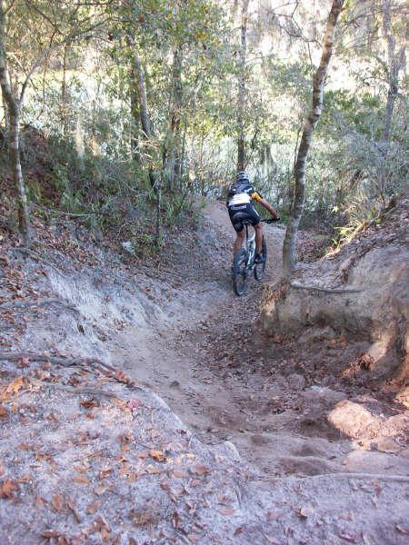 A mountain biker riding down a narrow dirt trail surrounded by trees and foliage. The path is uneven with exposed roots and leaves scattered on the ground. Alafia River State Park mountain bike trail.