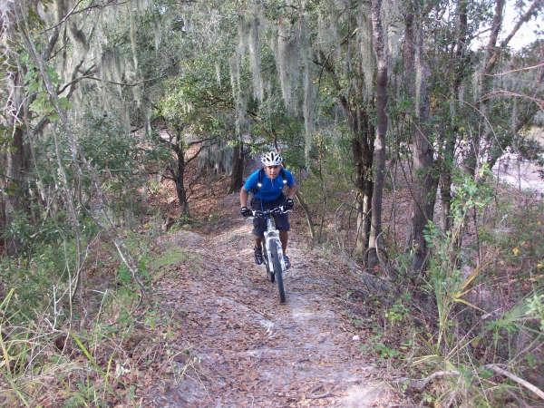 A cyclist wearing a helmet and blue shirt rides a mountain bike along a narrow dirt trail surrounded by trees and hanging moss. The scenery features lush greenery and fallen leaves on the path. Alafia River State Park mountain bike trail.