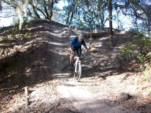 A mountain biker in a blue shirt navigates down a dirt trail, surrounded by trees and fallen leaves. The path features a small hill and a wooden structure in the background, indicating an off-road biking area. The scene captures a moment of action as the rider leans forward on the bike. Alafia River State Park mountain bike trail.