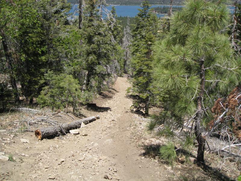 A winding dirt path through a forest, surrounded by tall trees and scattered rocks, leading down towards a lake in the background. A fallen log lies on the ground to the left of the trail. Big Bear Mountain Resort mountain bike trail.
