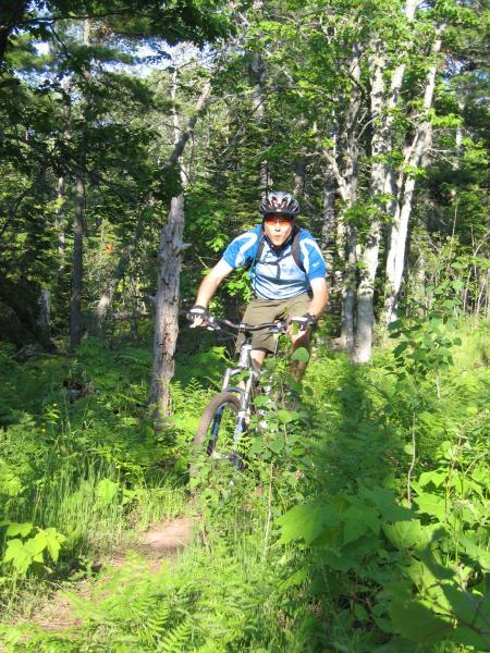 A mountain biker riding on a narrow trail through a lush, green forest, surrounded by tall trees and ferns. The cyclist is wearing a helmet and athletic gear, captured mid-ride with a focused expression. Copper Harbor Trails mountain bike trail.