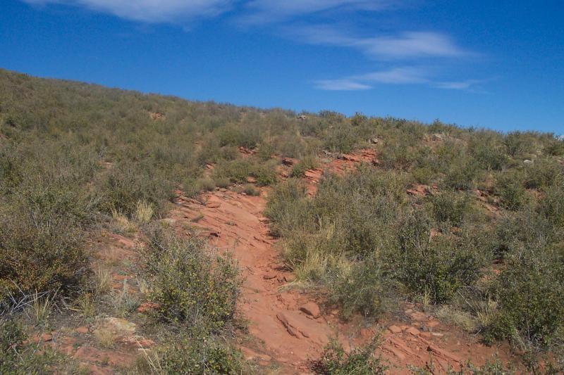 A rocky hillside covered with green shrubs under a clear blue sky. The path leading up the slope is visible, showing a natural trail winding through the vegetation. Coyote Ridge mountain bike trail.