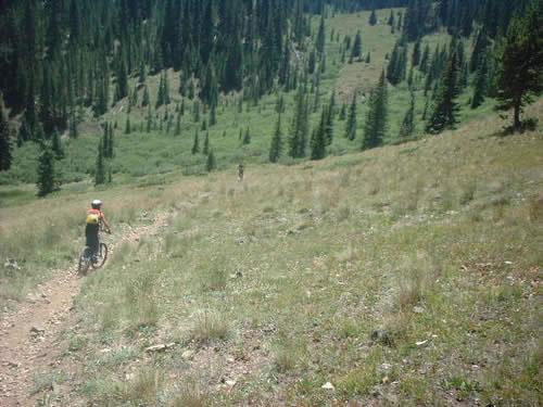 A cyclist rides down a dirt trail through a grassy hillside, surrounded by lush green trees on either side. In the background, another cyclist can be seen further up the trail. The scene captures a sunny day in a mountainous terrain. Monarch Crest Trail mountain bike trail.