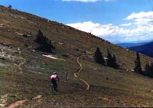 A person walking on a winding dirt trail through a grassy slope, surrounded by sparse trees under a bright blue sky with scattered clouds. The landscape features a mix of open terrain and distant mountains. Monarch Crest Trail mountain bike trail.