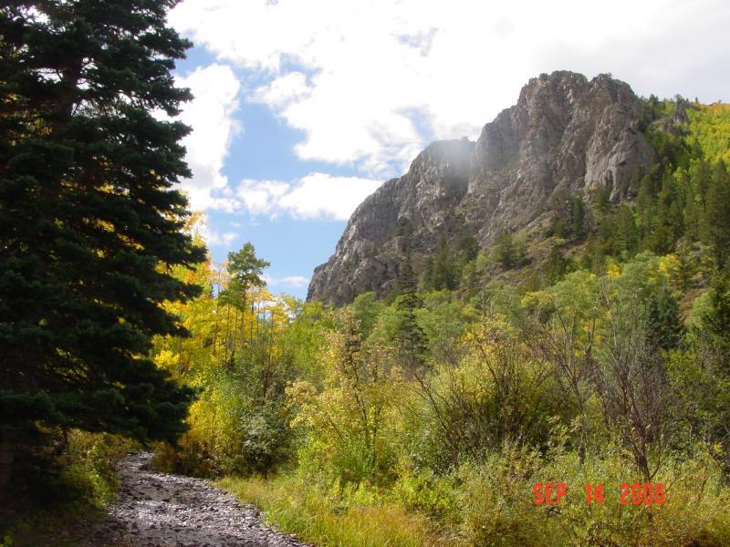 A scenic view of a hiking trail winding through a vibrant landscape with green trees and golden foliage, set against a backdrop of rocky mountains under a partly cloudy sky. Monarch Crest Trail mountain bike trail.