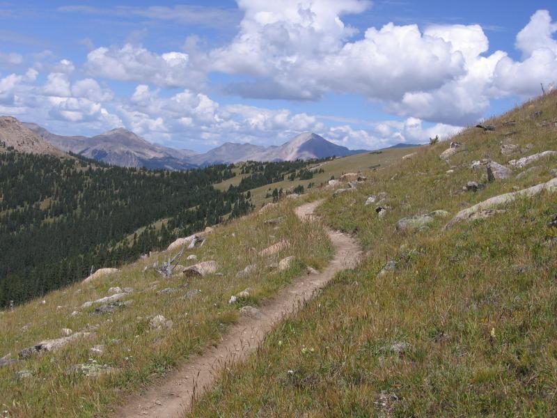 A winding dirt trail leads through a grassy landscape, with rocky outcrops and patches of trees on either side. In the background, rolling mountains rise under a partly cloudy sky. Monarch Crest Trail mountain bike trail.