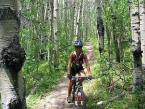 A person riding a mountain bike on a dirt trail surrounded by tall aspen trees and lush greenery. The cyclist is wearing a helmet and an athletic outfit, enjoying a sunny day in nature. Colorado Trail: Kenosha Pass To Breckenridge mountain bike trail.
