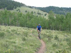 A person in a blue shirt rides a mountain bike along a winding dirt trail surrounded by lush green grass and trees, with rolling hills in the background under a cloudy sky. Colorado Trail: Kenosha Pass To Breckenridge mountain bike trail.