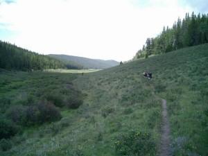 A scenic view of a grassy valley surrounded by trees, with a winding dirt path leading through the landscape. In the distance, a small group of figures can be seen enjoying the outdoors. The sky above is partially cloudy, contributing to the serene atmosphere of the natural setting. Colorado Trail: Buffalo Creek To Lost Creek Wilderness Boundary mountain bike trail.