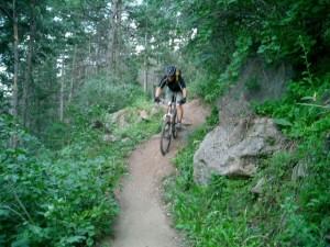 A mountain biker riding along a narrow dirt trail surrounded by lush greenery and rocky outcrops in a forested area. Chimney Gulch mountain bike trail.