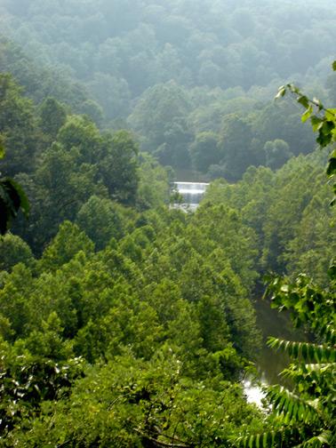 A scenic view of a lush green forest with a river flowing through it, framed by tall trees under a misty sky. The landscape showcases vibrant shades of green and hints of a waterfall in the distance, creating a tranquil natural setting. Patapsco Valley State Park (Avalon Area) mountain bike trail.