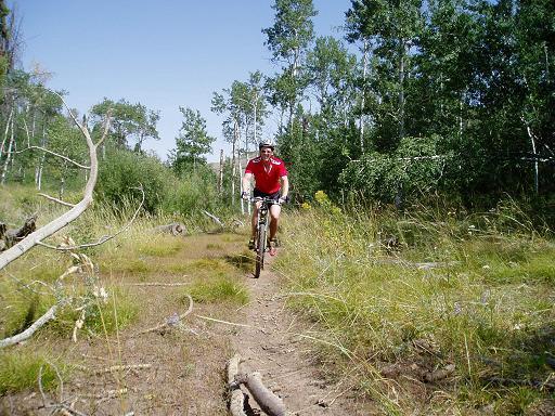 A person riding a mountain bike along a dirt path surrounded by tall grass and trees on a sunny day. Harrington Fork mountain bike trail.