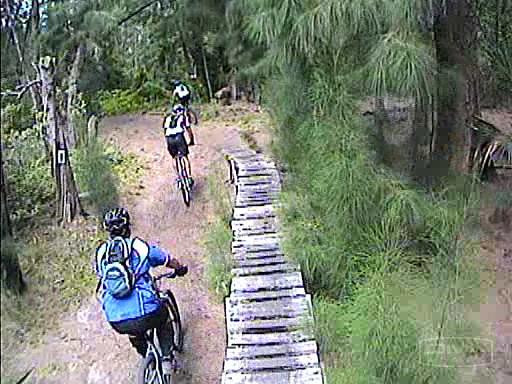 Two mountain bikers navigate a dirt trail in a wooded area. One rider is ahead, crossing a narrow wooden bridge, while the other follows behind. Lush greenery surrounds the path, enhancing the natural outdoor setting. Amelia Earhart Park mountain bike trail.