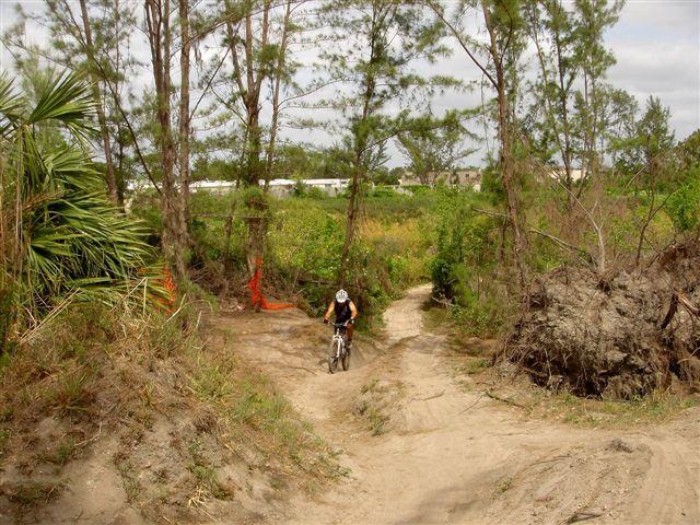 A mountain biker navigates a sandy trail surrounded by trees and dense foliage, with hints of orange safety markers in the background. Amelia Earhart Park mountain bike trail.