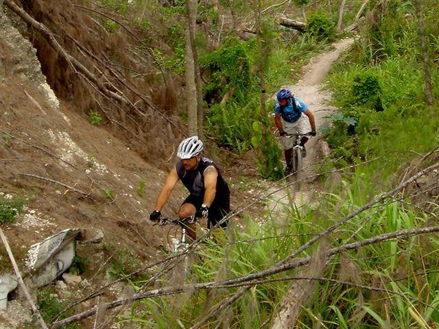 Two mountain bikers navigate a winding dirt trail through a lush, wooded area. One rider, wearing a white helmet and black attire, is climbing uphill, while the other, dressed in blue, follows along a narrower path. Surrounding them are sparse trees and green vegetation, indicating a natural, rugged environment. Amelia Earhart Park mountain bike trail.