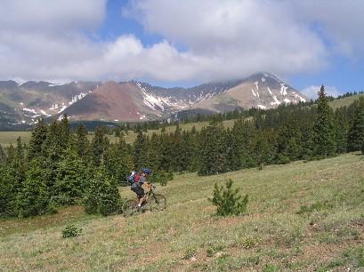 A person riding a mountain bike through a grassy field, surrounded by dense evergreen trees, with snow-capped mountains and a partly cloudy sky in the background. Colorado Trail: Kenosha Pass To Breckenridge mountain bike trail.