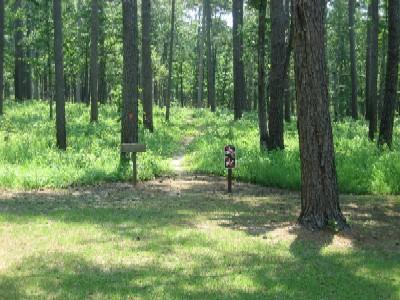 A scenic view of a pathway leading into a lush green forest, bordered by tall trees. Signs are visible indicating the trail, surrounded by vibrant vegetation on either side. Noxubee Crest mountain bike trail.