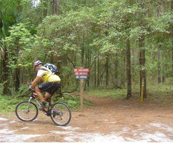 A mountain biker wearing a yellow and black outfit rides past a trail sign in a wooded area. The sign indicates directions to "John B. S. and Ant Hill" trails and marks a fork in the path, surrounded by tall trees and foliage. Santos mountain bike trail.