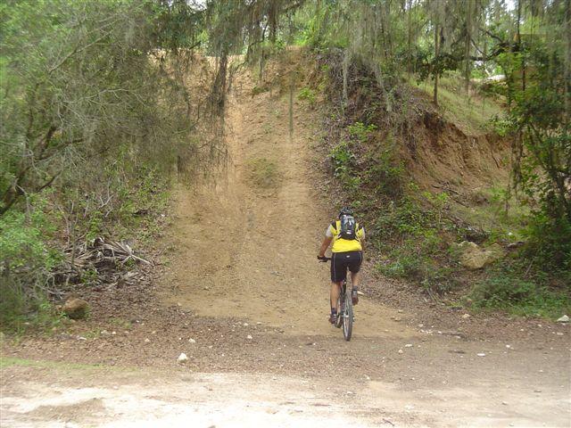 A mountain biker in a yellow shirt ascends a steep, dirt hill surrounded by trees and vegetation in a natural setting. Santos mountain bike trail.