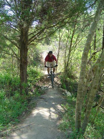 A mountain biker navigating a narrow, wooded trail surrounded by greenery, with sunlight filtering through the trees. The cyclist is wearing a red shirt and shorts, focused on riding smoothly over the uneven terrain. Santos mountain bike trail.