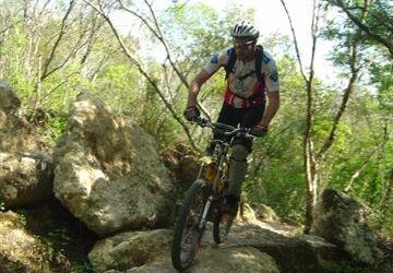 A mountain biker navigating over a large rock in a wooded area, surrounded by greenery and trees. The rider is wearing a helmet and cycling gear. Santos mountain bike trail.