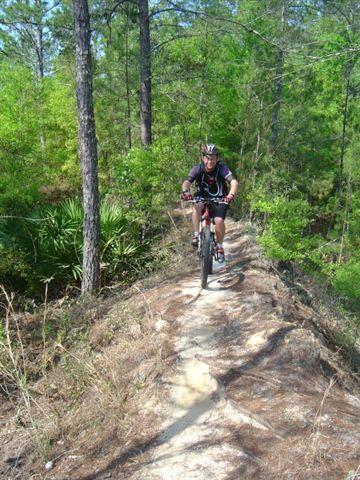 A mountain biker riding along a narrow dirt trail in a lush green forest, surrounded by trees and underbrush. Santos mountain bike trail.