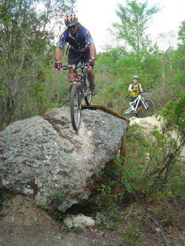 A man mountain biking over a large rock on a forest trail, with another cyclist in the background. The scene is surrounded by greenery and trees, illustrating an outdoor biking adventure. Santos mountain bike trail.